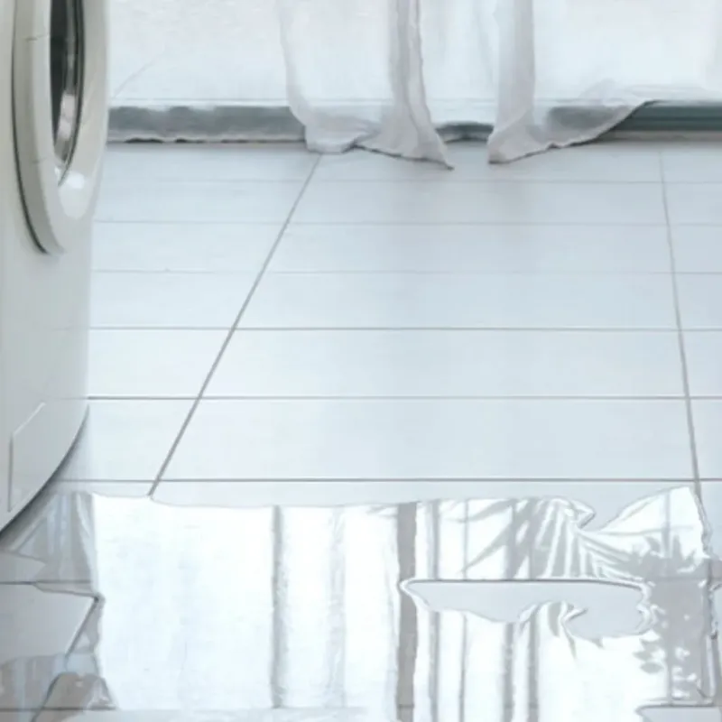 Appliance Leak Cleanup in Hamlin, NY